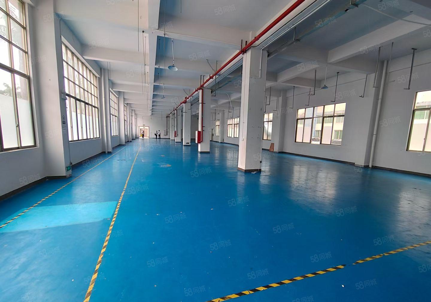 惠阳秋长将军路口新出低价村委厂房1500平可做除排水外行业