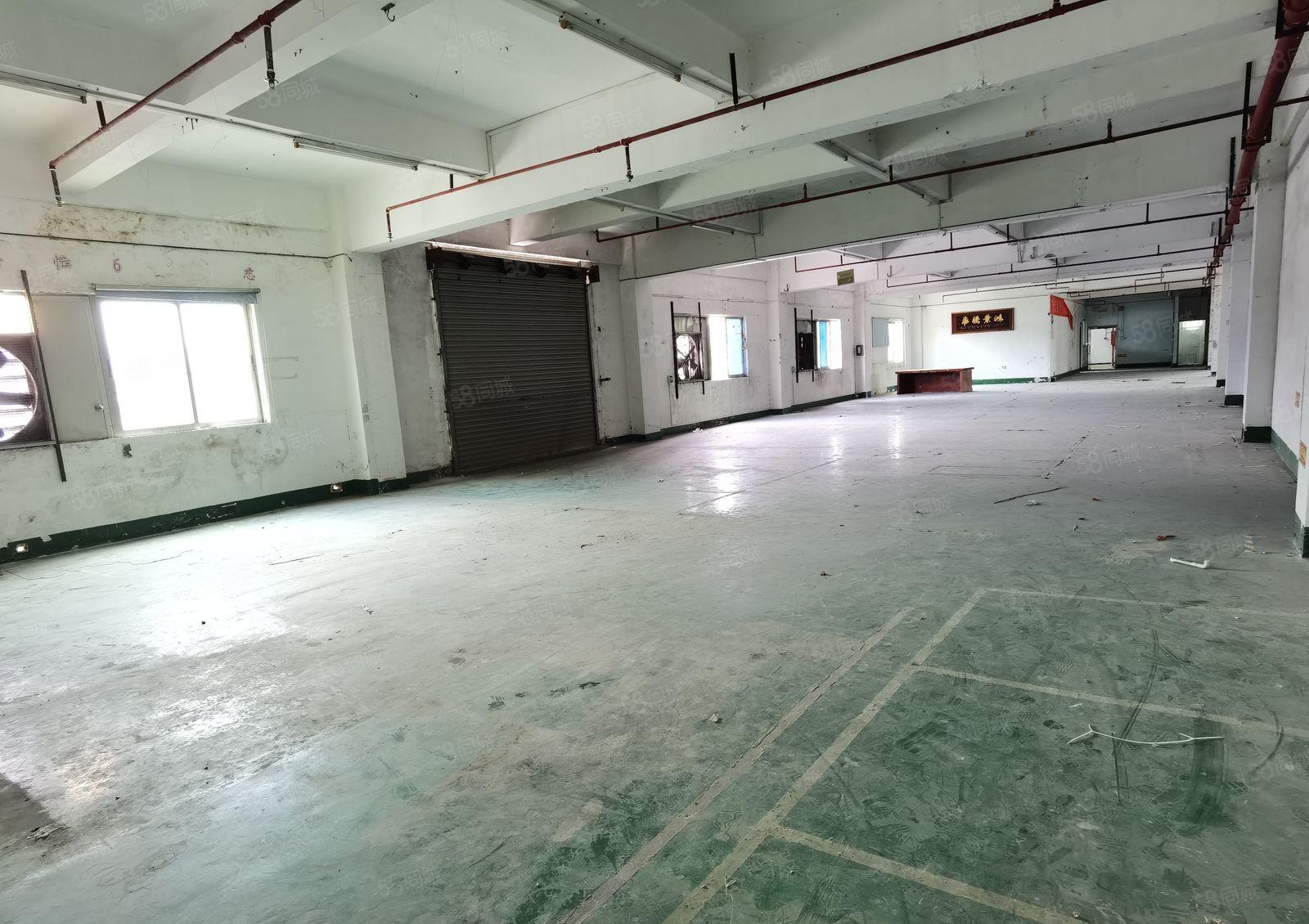 惠州惠阳区镇隆镇7500标准三层厂房原房东出租可整租可分租