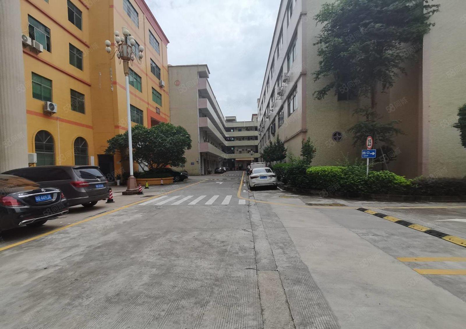 惠阳秋长白石8万平原房东工业园带装修厂房出租可分租一楼6米高