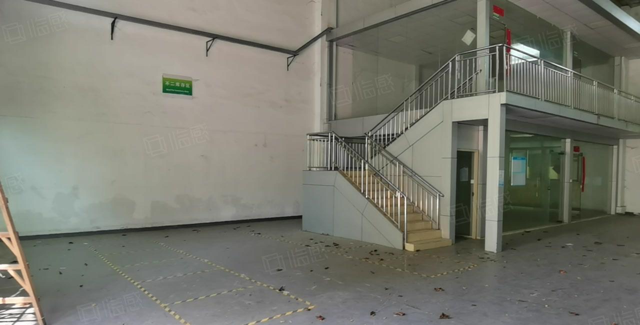 新圩 原房东1600平方独院钢构厂房出租仓库出租现成办公室