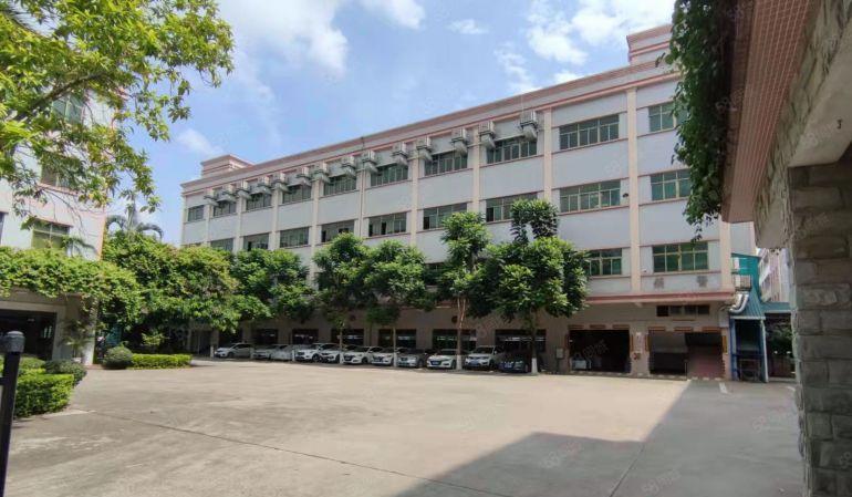 原房东独门独院标准三层厂房精装修办公室