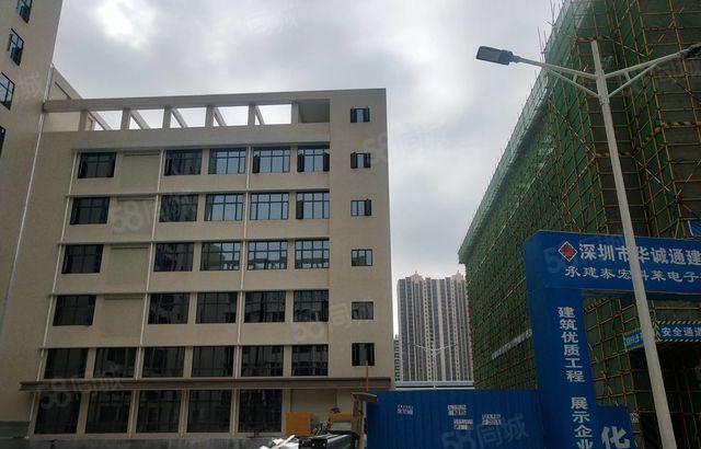 350起分）大亚湾西区比亚迪附近全新低价红本标准厂房证件齐全