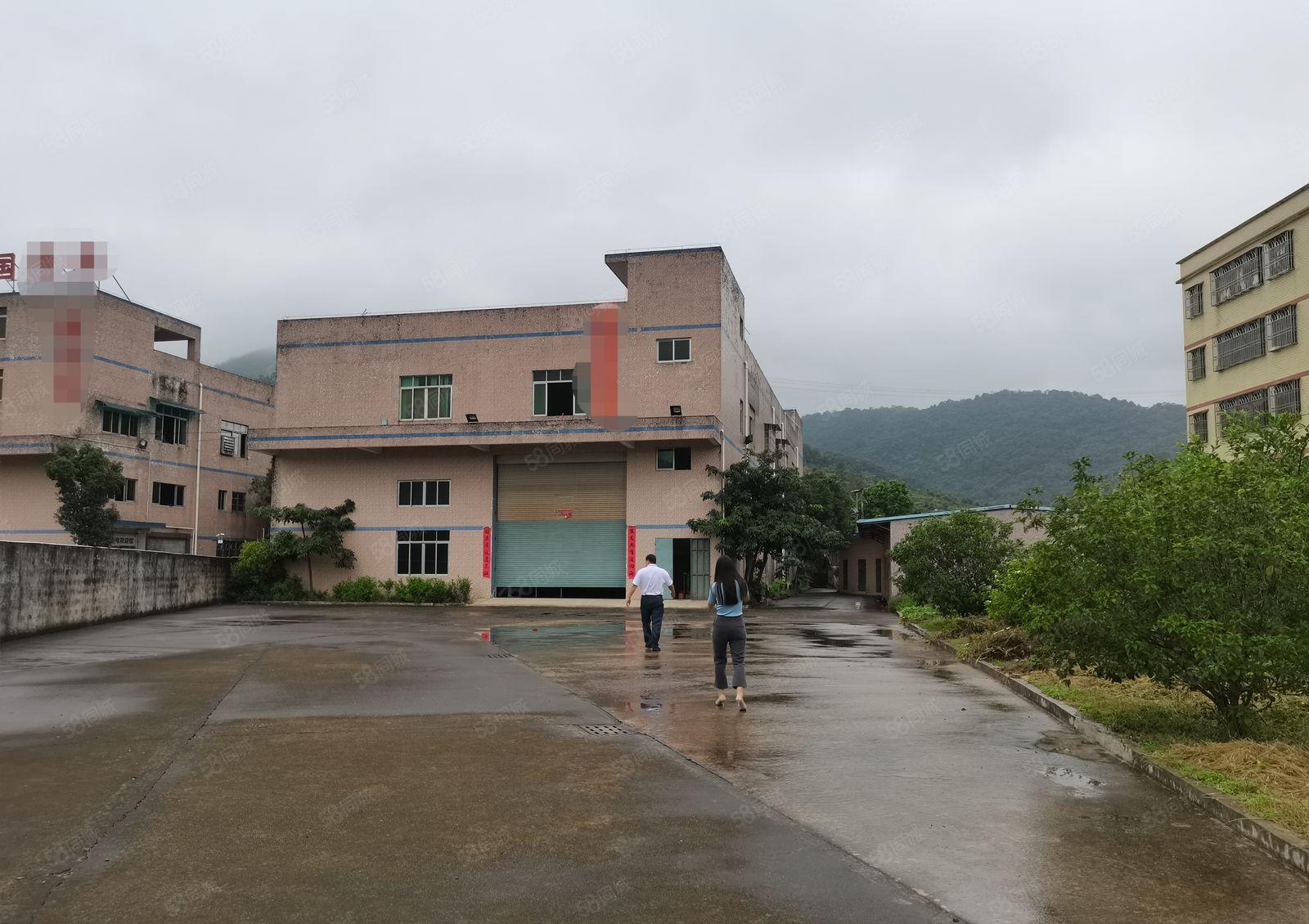 镇隆高速出口205国道边独院2800平方出租