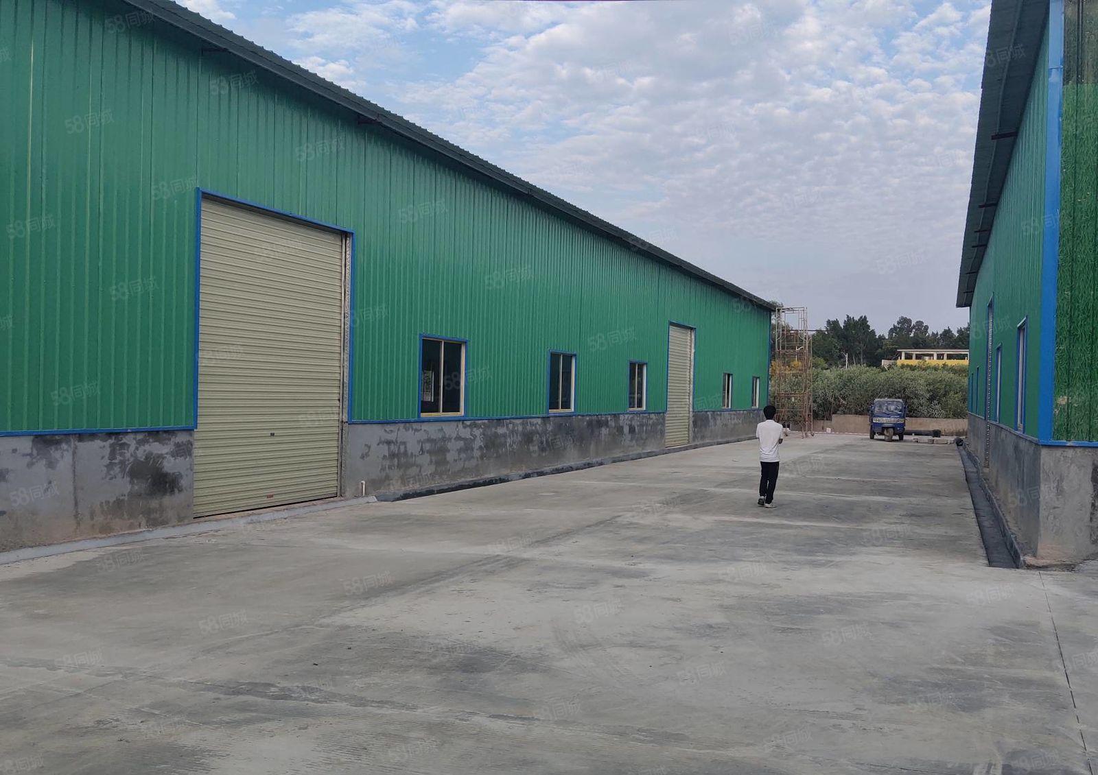 平潭全新建钢构厂房1000平方1550平 租金15元