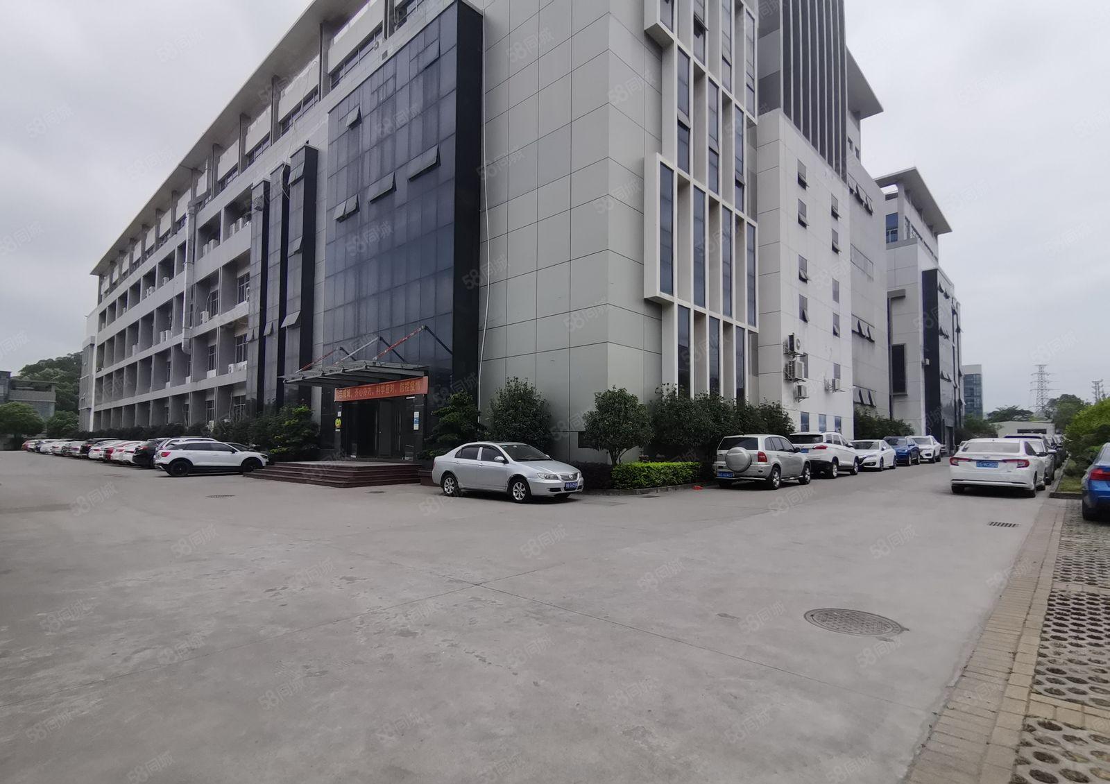 镇隆全新独院5000平厂房仓库出租一楼层高7米原房东可分租