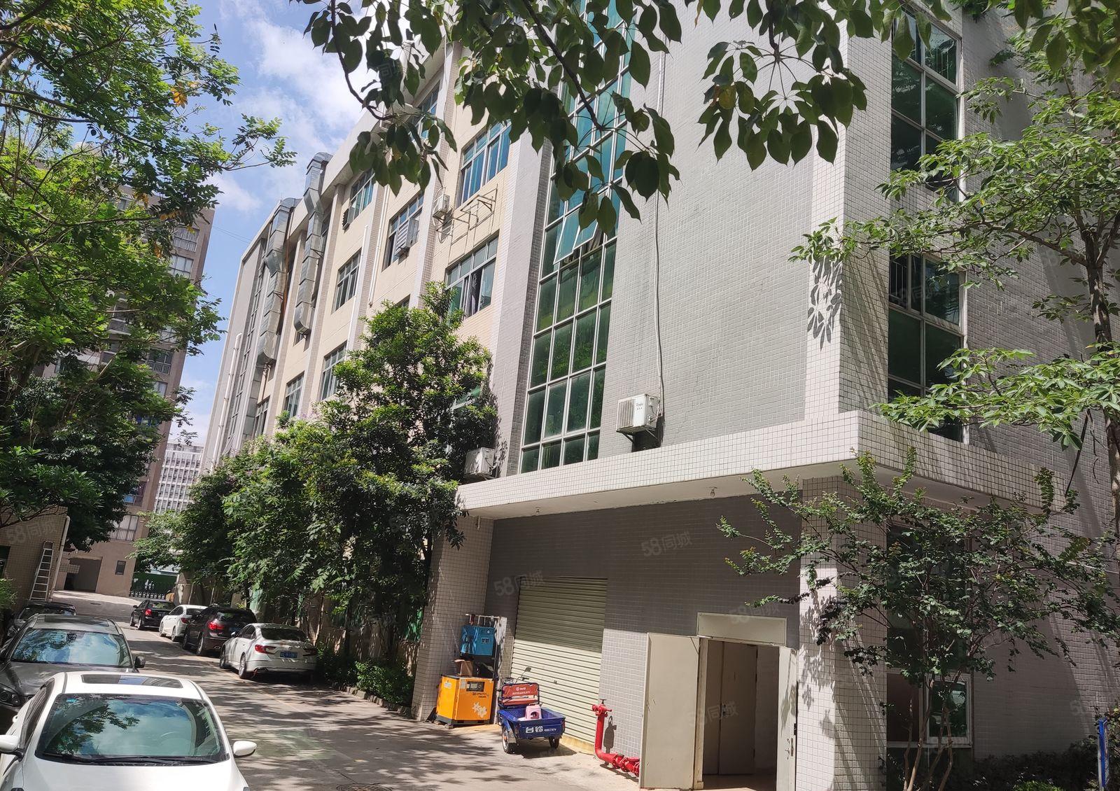 惠阳三和开发区新出标准红本厂房上市公司园区21600平米招租