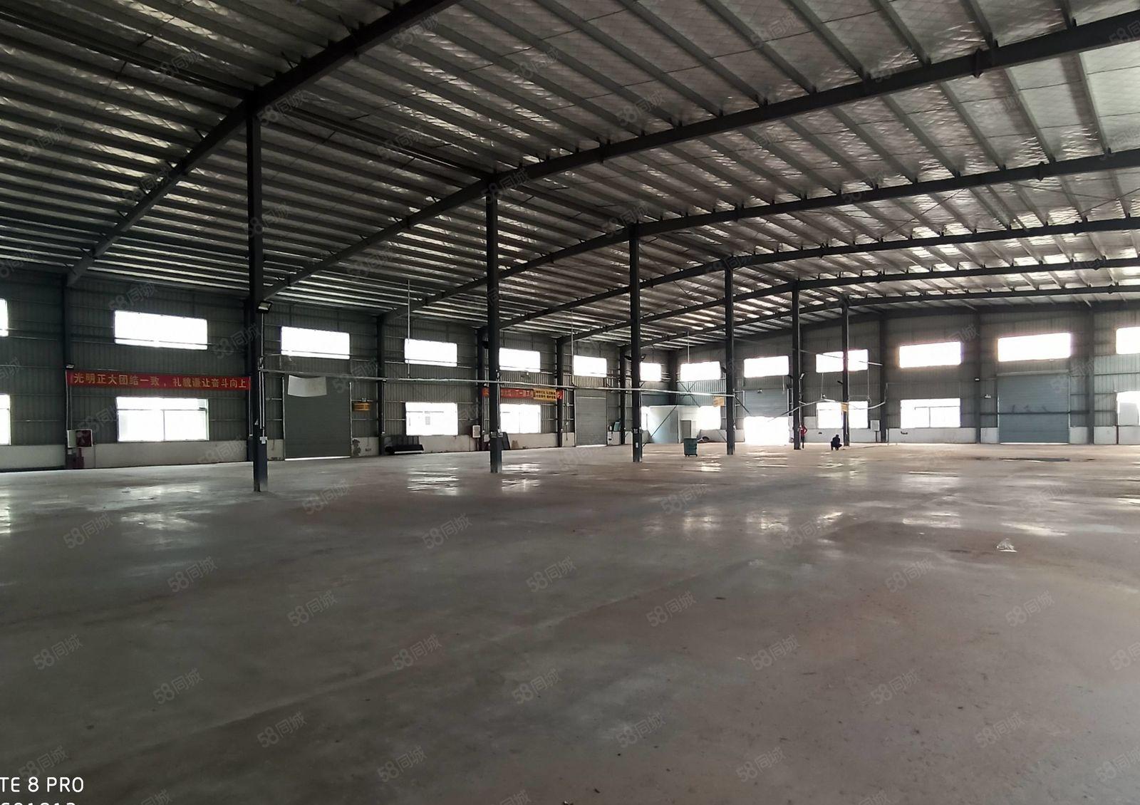 工业区新出8米高钢构厂房6500平，可分租