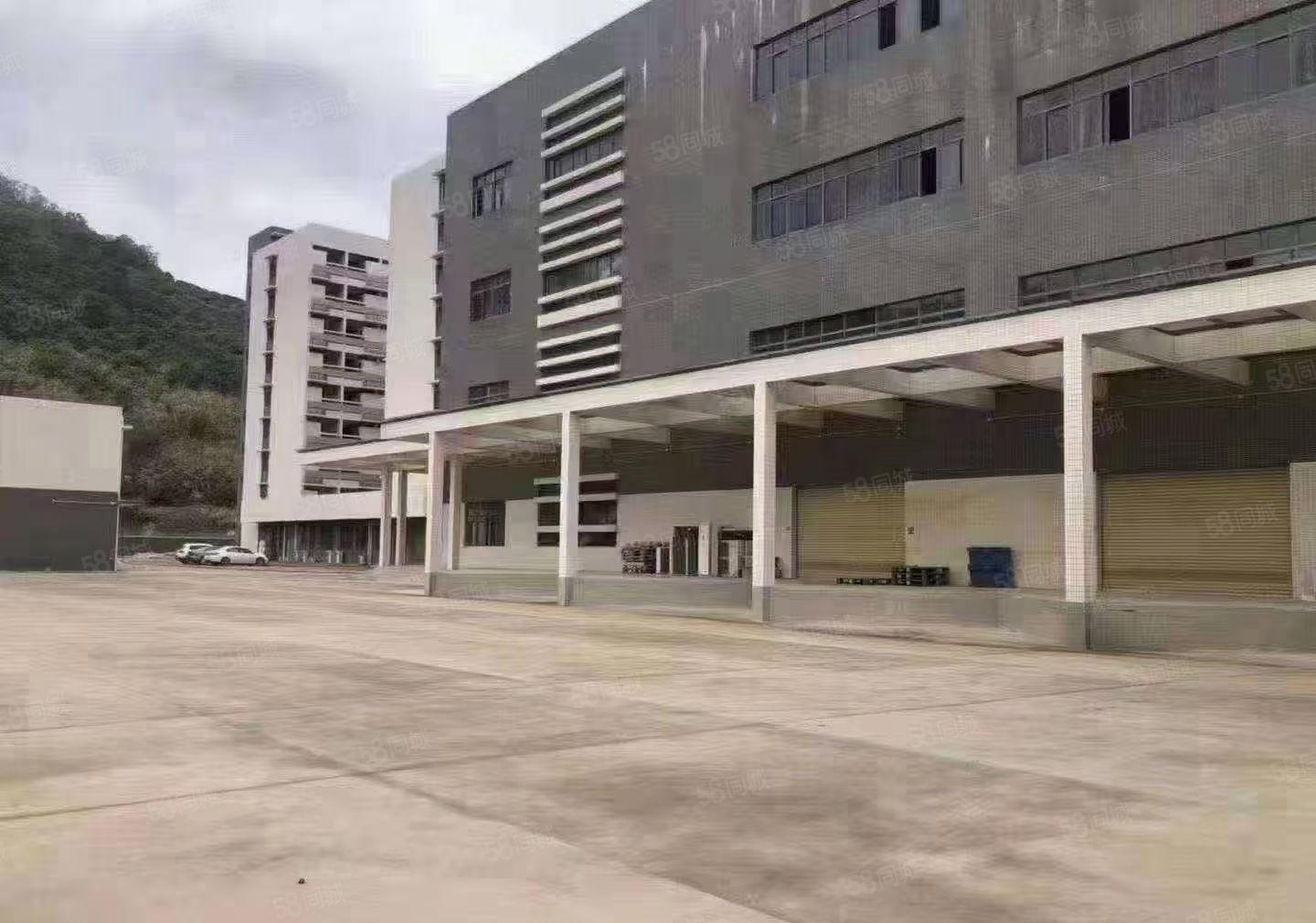 惠州市惠阳区秋长镇33000平米带月台标准四层厂房原房东出租