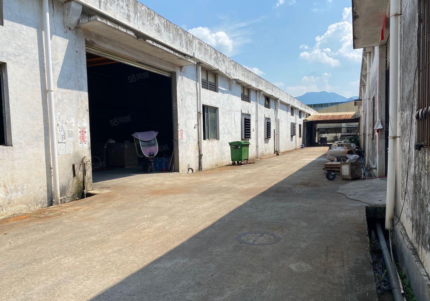 惠阳区镇隆镇新出独栋铁皮房600可做喷油