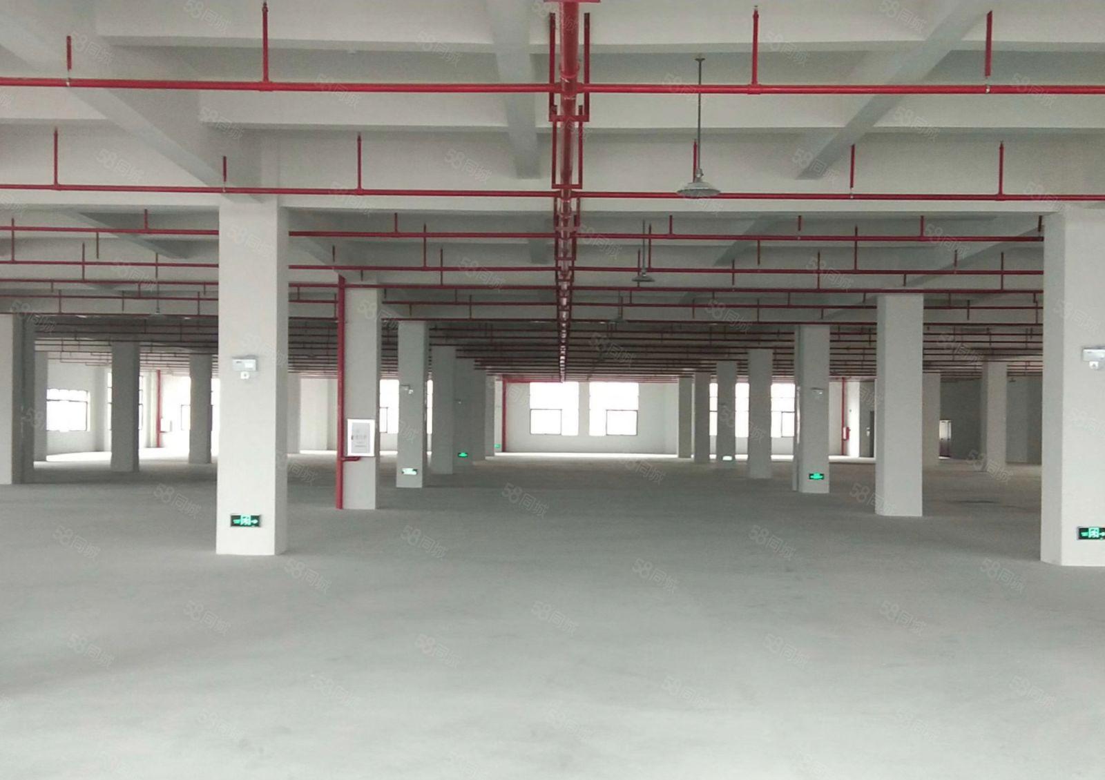 惠阳区成熟工业园产业园不限行业可分租可办环评证件齐全