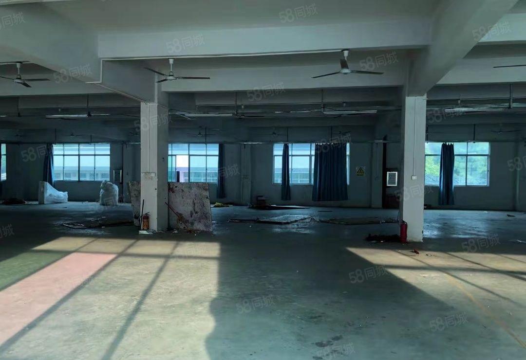 惠州三和现成水电装修周围交通方便独门独院2500平标准厂房