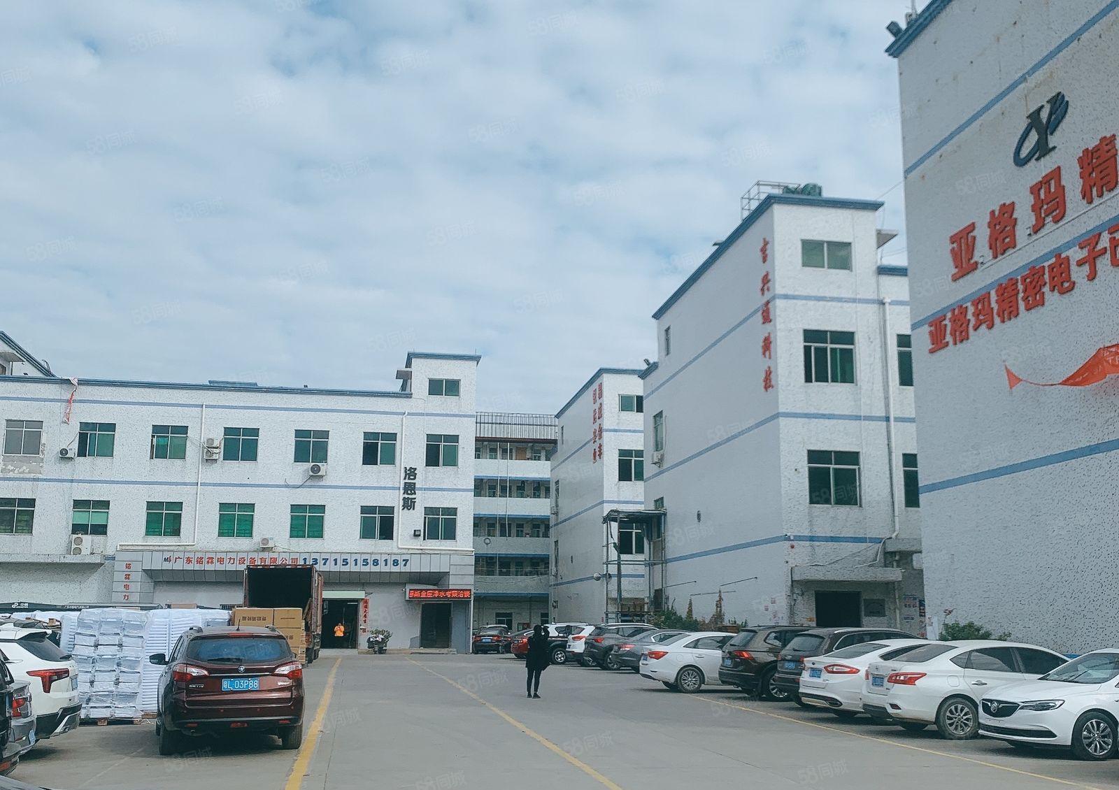 惠阳新圩2000一楼高6米精装修1000仓库厂房出租可分租