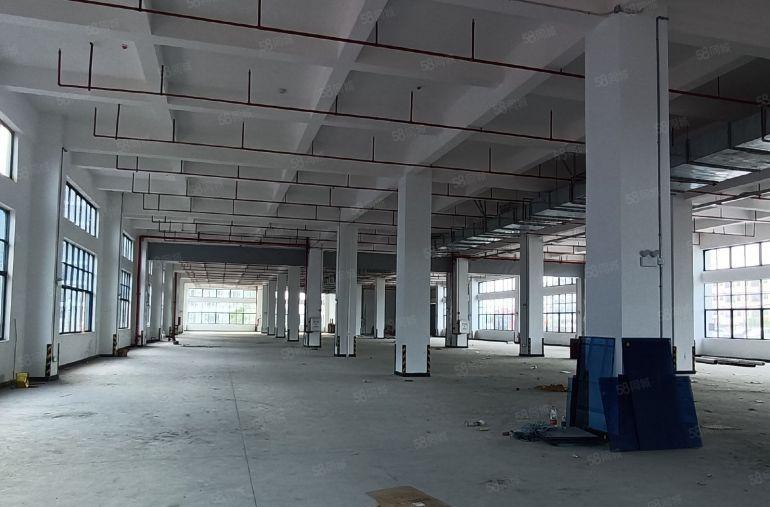 惠阳临深新出原房东红本标准厂房一楼4000平方米