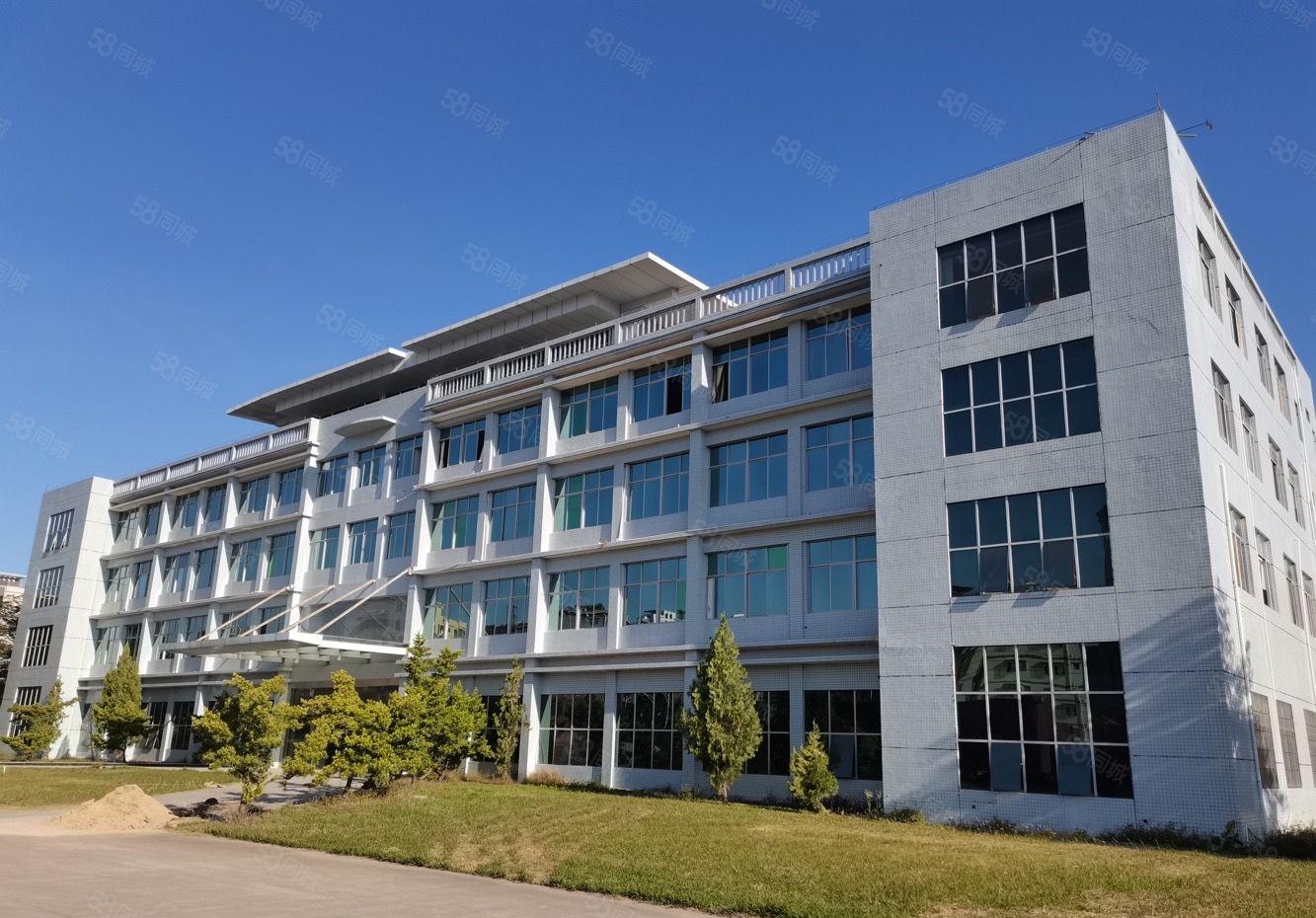 镇隆6千平原房东红本厂房出租，形象好，主线到车间，可分租