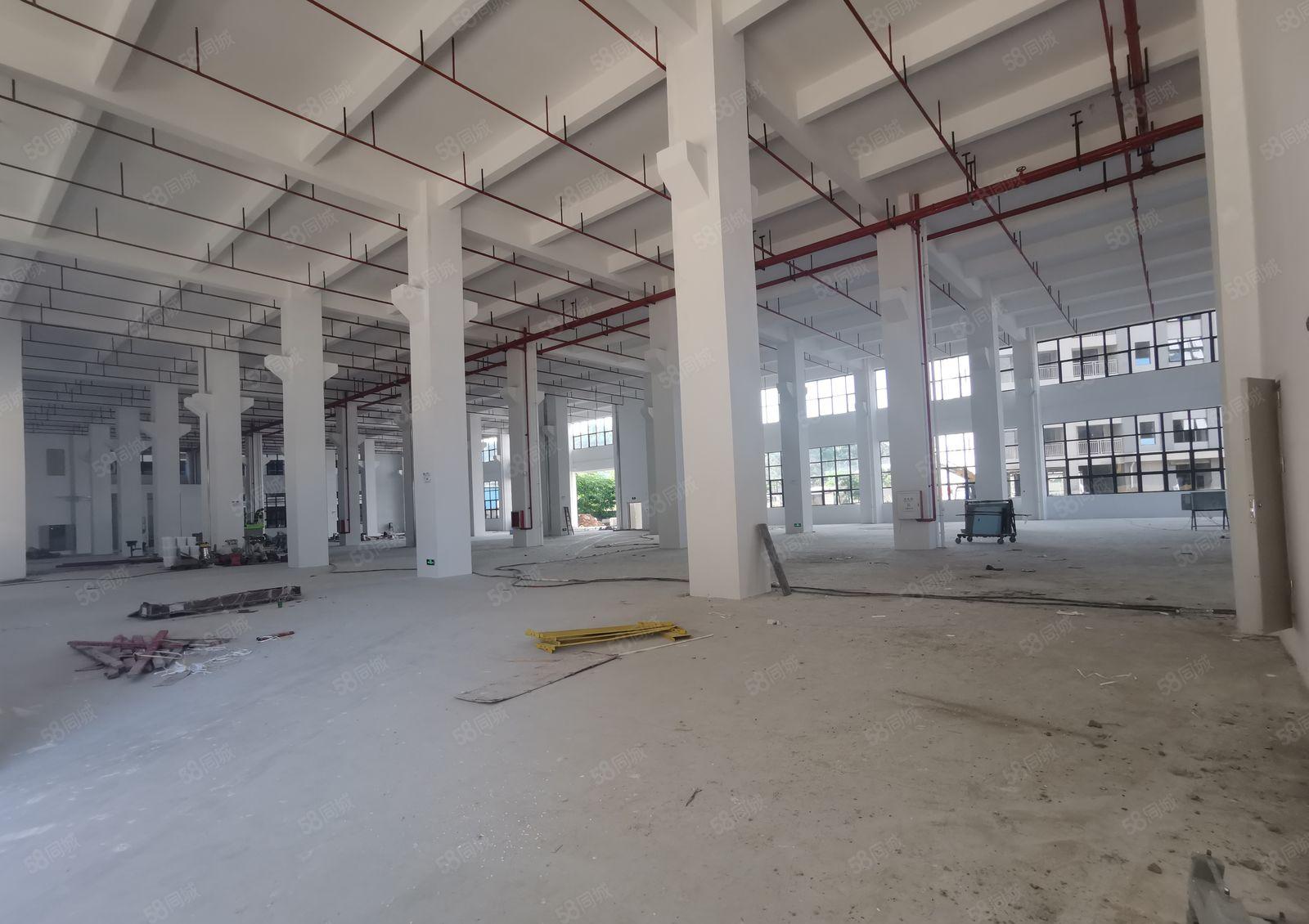 临近深交界处厂房出租