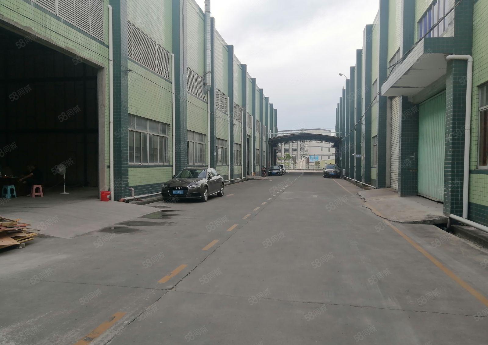 镇隆中仁工业园带红本标准厂房8000招租，可分租，层高9米