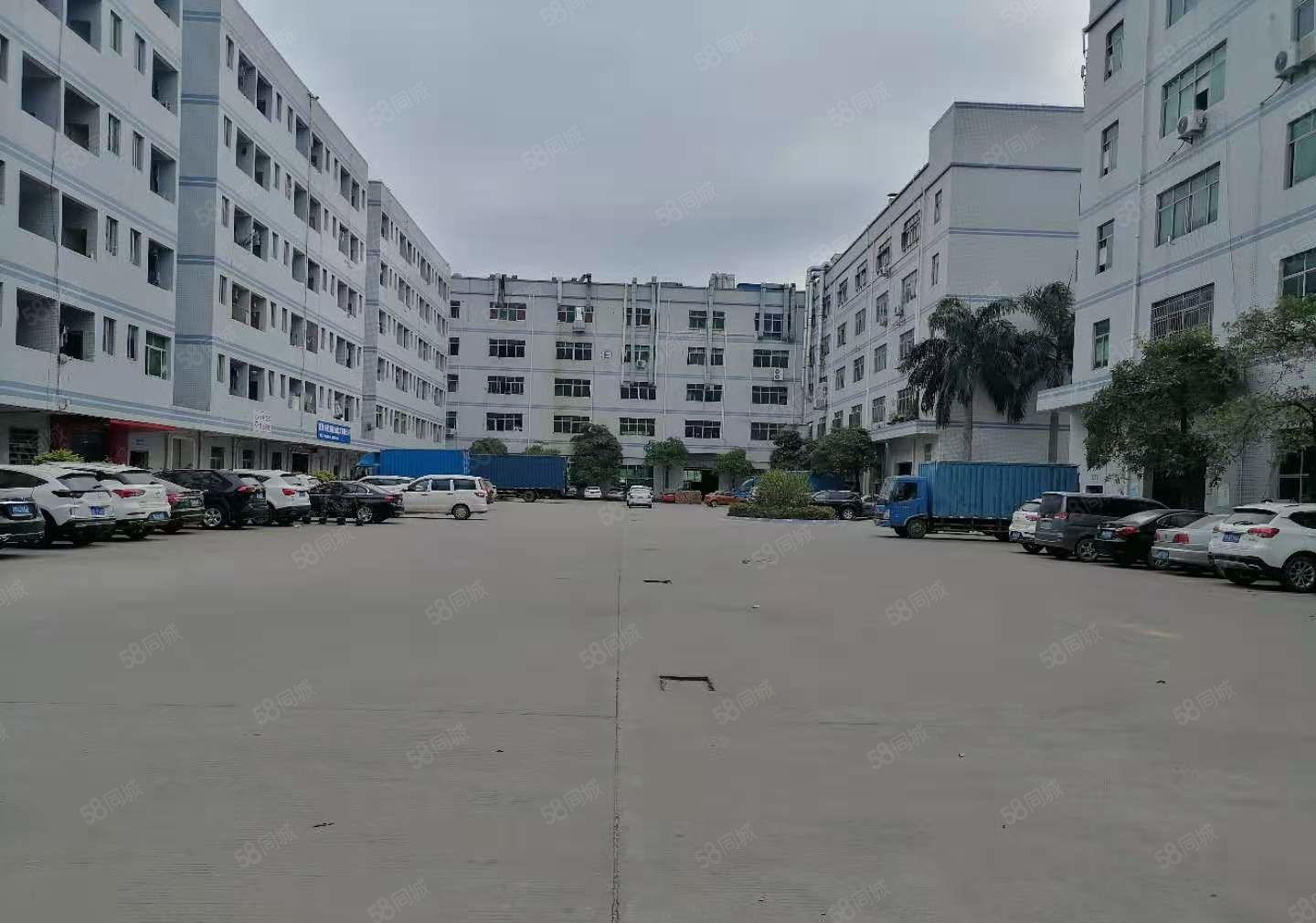 可分租新圩银岭工业园2000方带装修3楼厂房出租红本3吨货梯