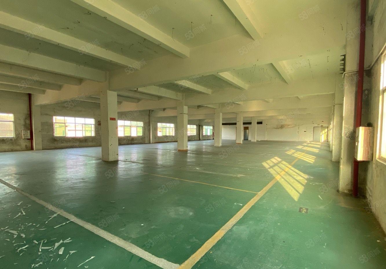 镇隆长龙工业区500平厂房出租