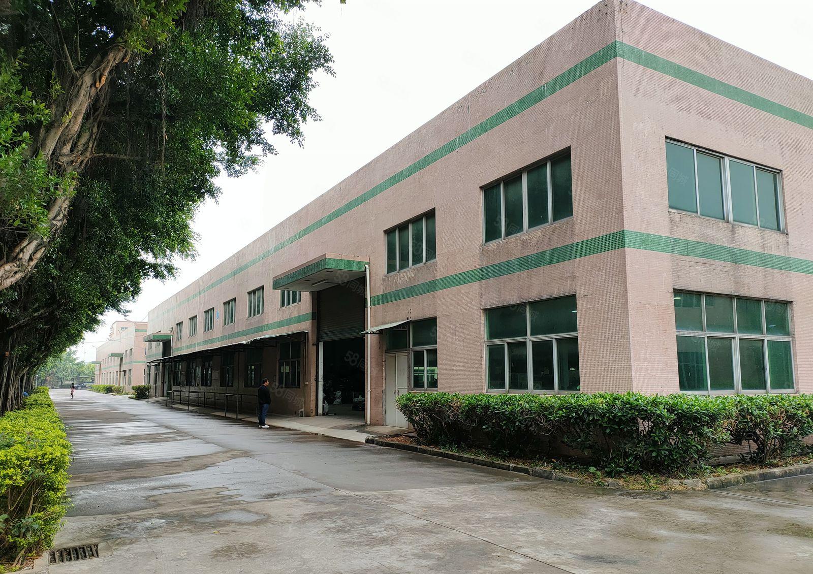 单一层钢结构厂房出租（17000平米，可分租）