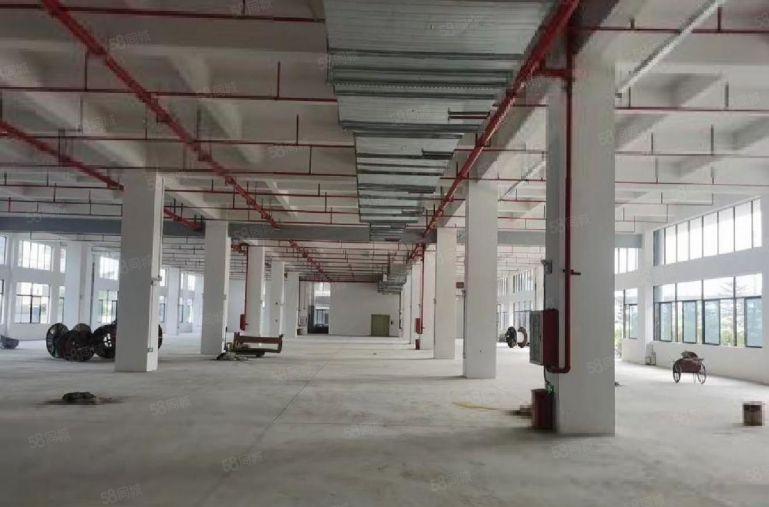 惠州镇隆9元。原房东2000平方厂房仓库低价出租大小可分