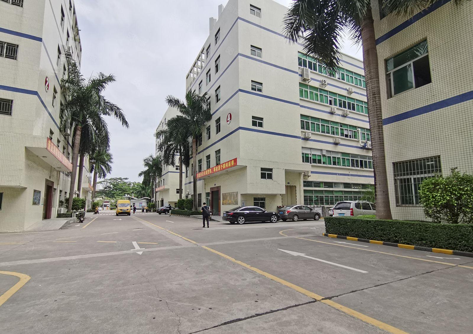 原房东厂房仓库出租证件齐全5百1千3千平起租惠阳沙田8万平