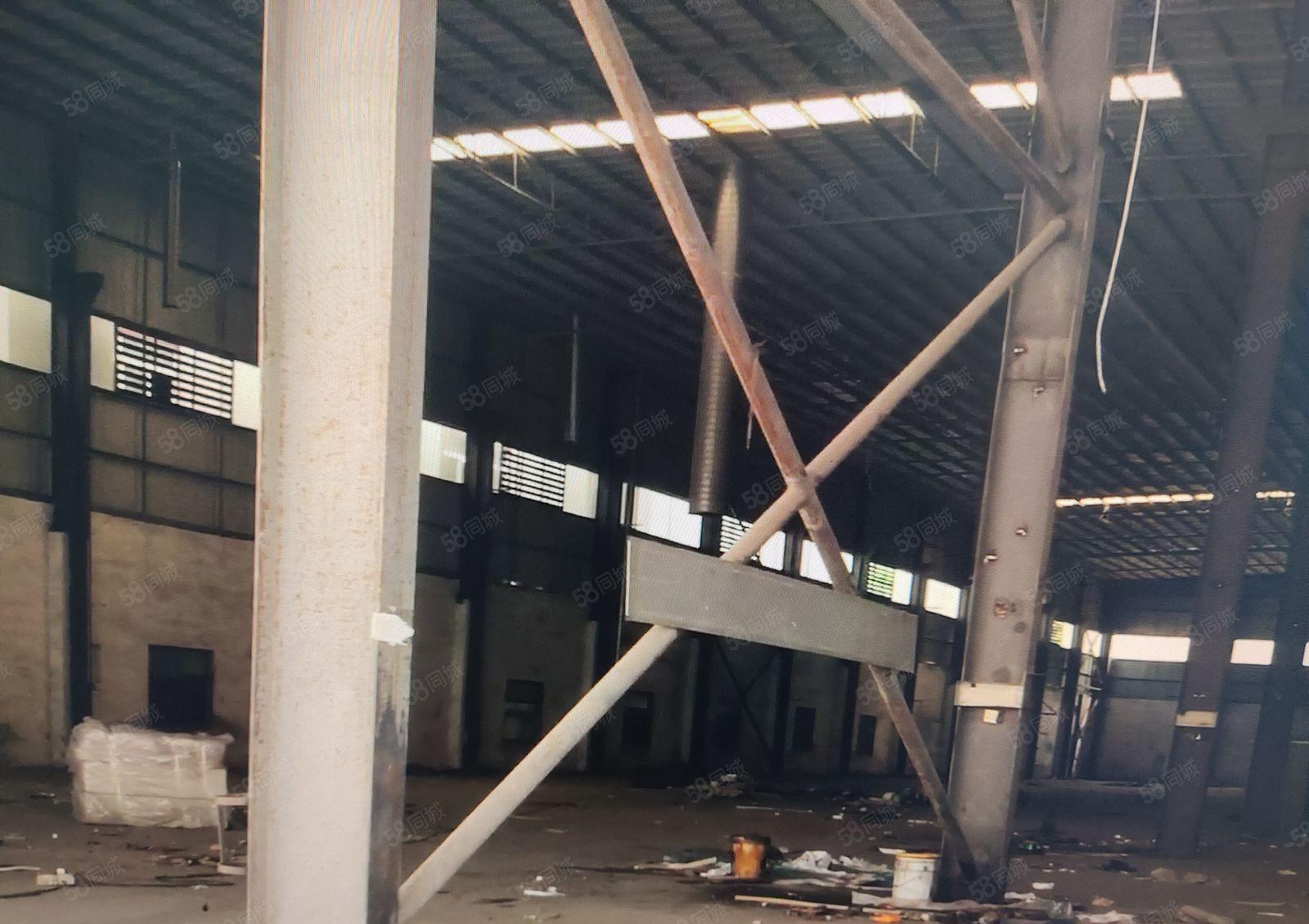 新墟兴达工业园原房东4千平红本钢构仓库厂房出租可分租高10米