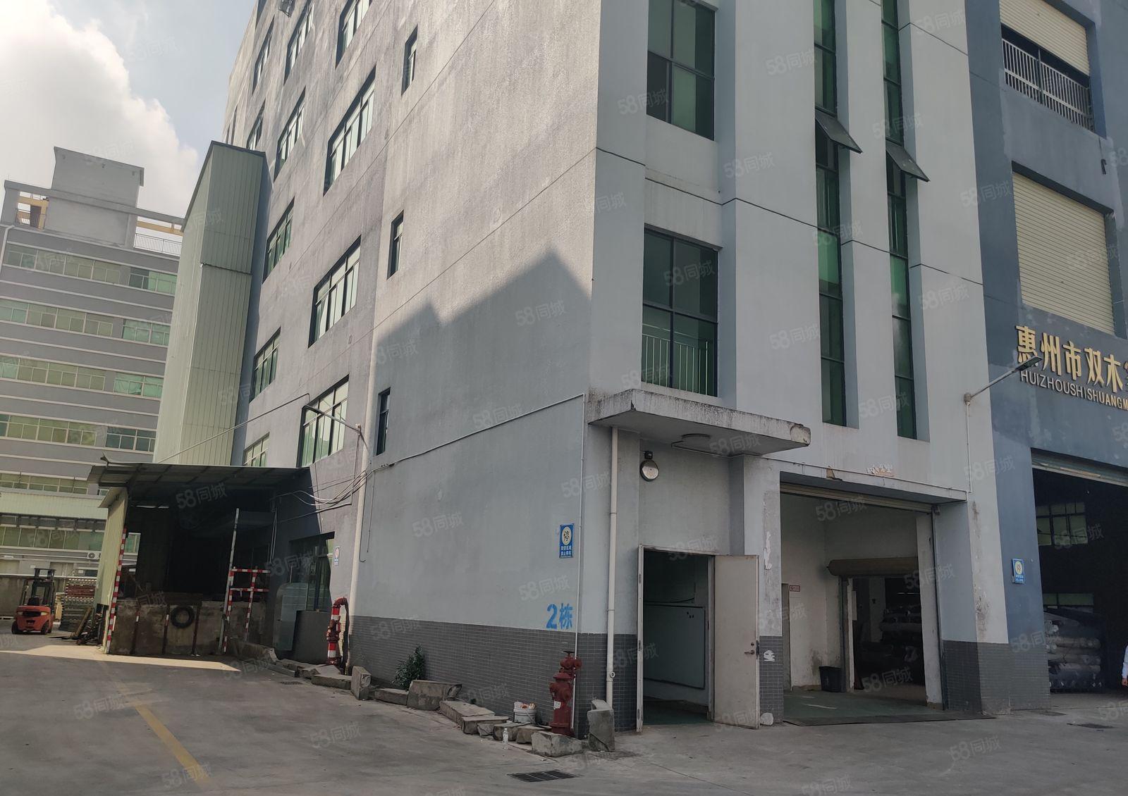 惠阳沙田原房东园区独栋6层标准厂房8米高12000平含税出租