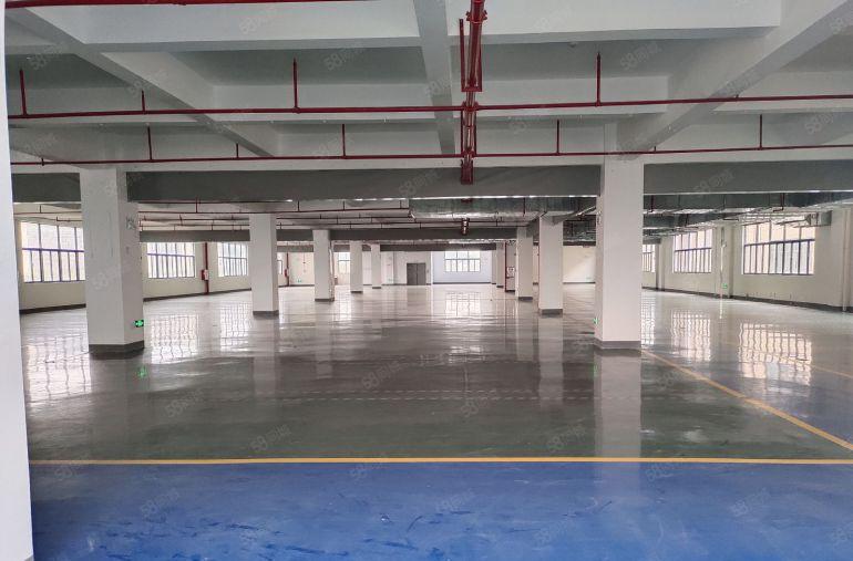 临深惠阳新圩南坑塘吓原房东精装修独栋实际面积低价出租可分租