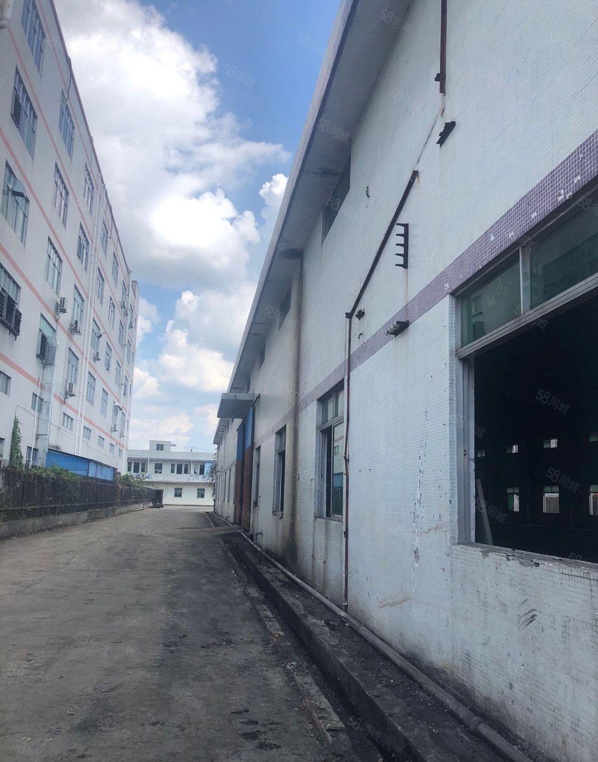 单一层钢构独门独院厂房