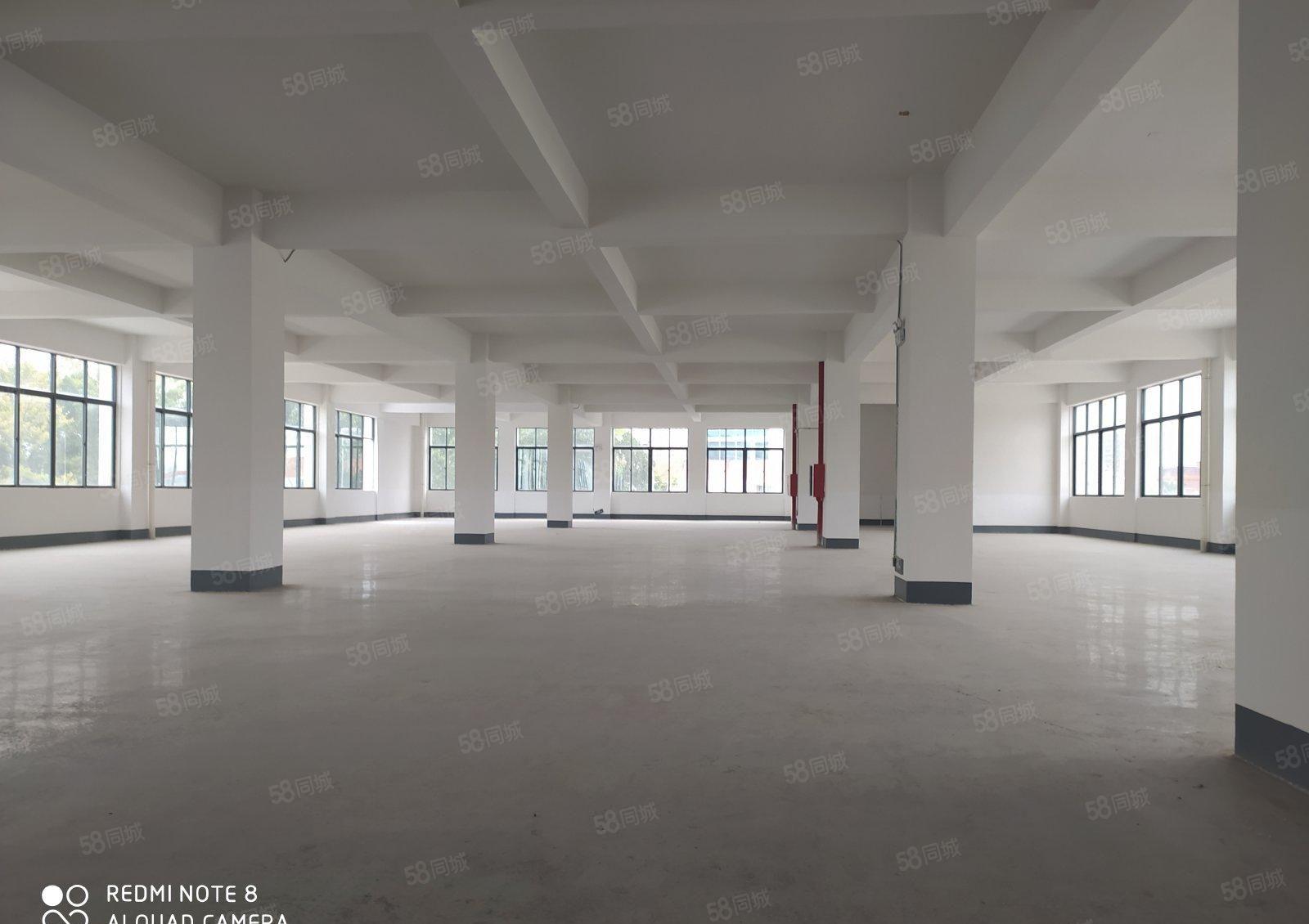 13元惠阳区淡水红本厂房5000平出租可分租可办环评原房东