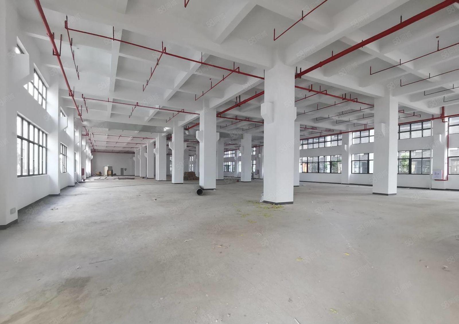 惠阳镇隆甘彼原房东工业园3万平厂房出租300平起分租一楼7米