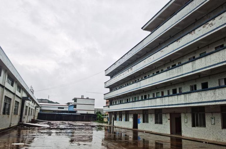 惠阳三和独院钢构13000平出租高7.5米