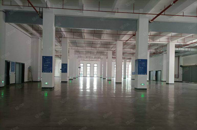 惠州南站附近1000平一楼8米高厂房全新装修出租