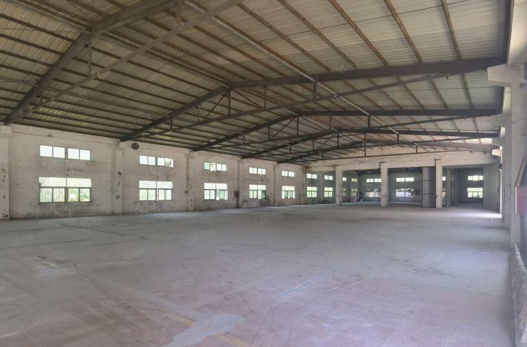 12块新出！新圩3600平独院钢构厂房仓库出租空地大可分租