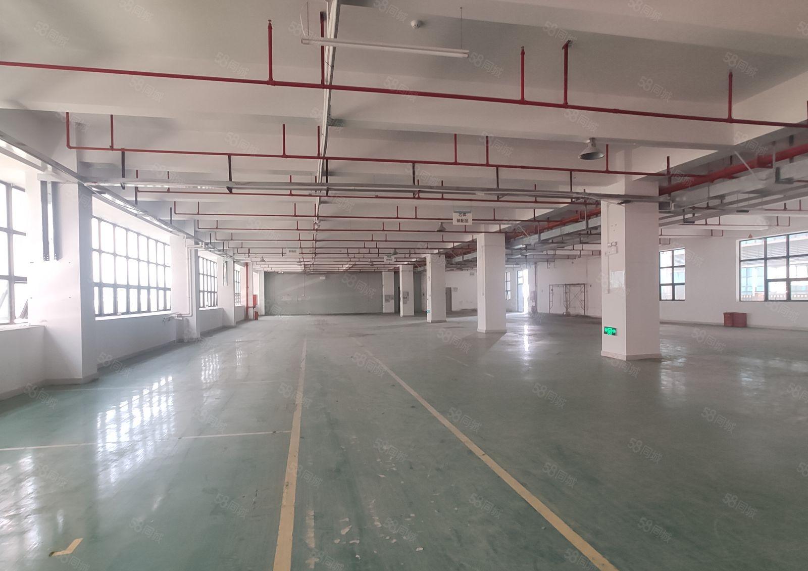 500平起租惠阳镇隆原房东红本200平500平厂房仓库出租