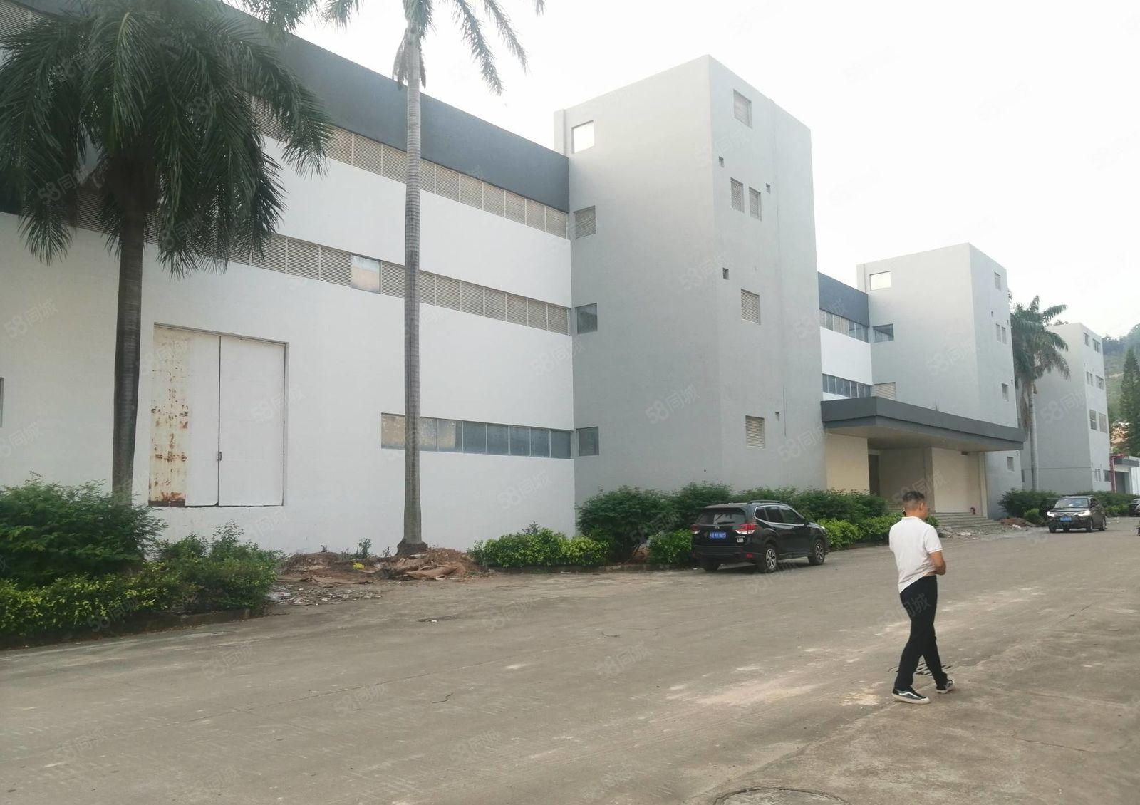 惠阳三和14万平米花园式厂房全球火热招商中