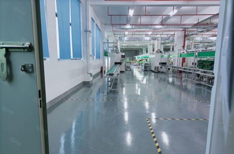 新圩临深1，2楼各2000平，可单独分租，带装修仓库厂房出租