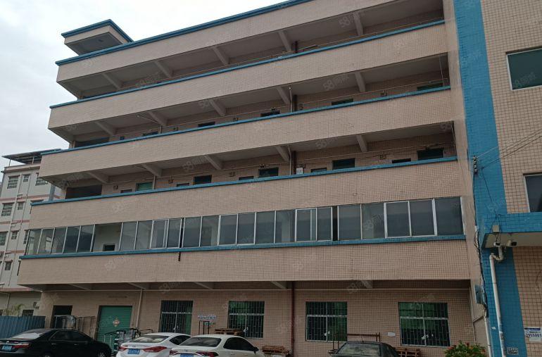 惠阳镇隆205国道边原房东红本钢结构厂房1400平方米