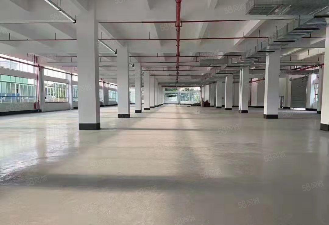 惠阳三和平潭附近厂房国道边红本标准厂房出租