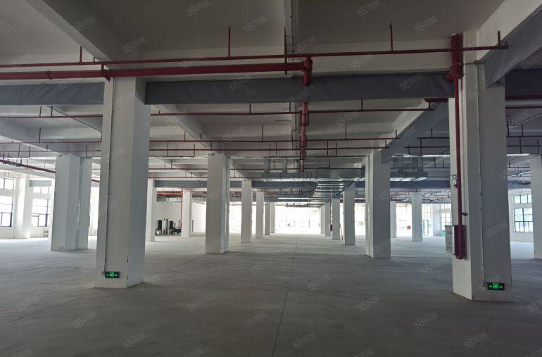现成万级无尘车间惠阳区沙田国道旁全新标准厂房30000平出租