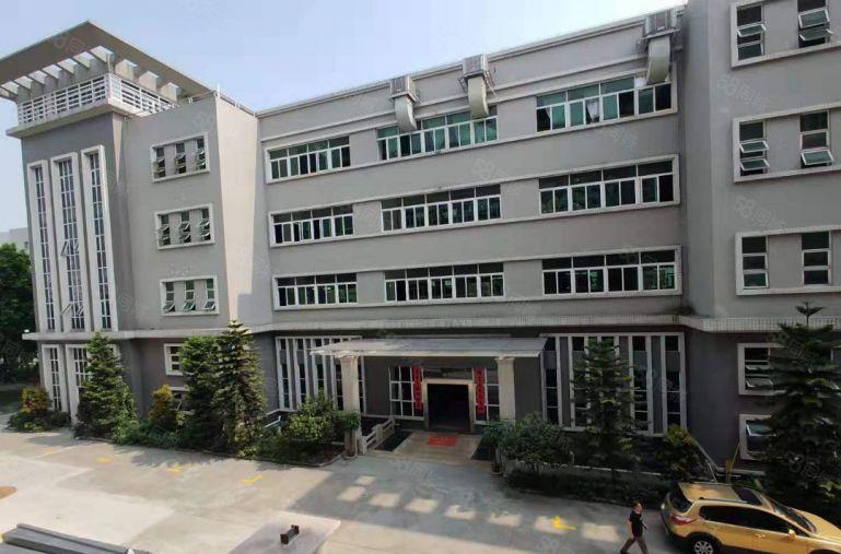 赠！免租期 新墟标准厂房出租 大小面积可分租 三证齐全