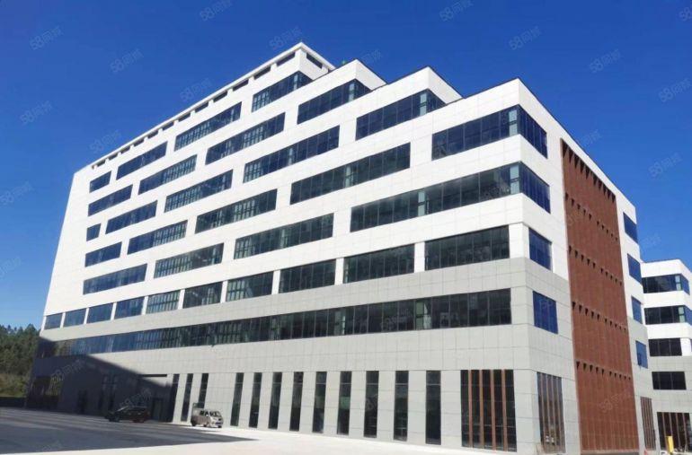 惠阳淡水原房东 平大盘！全新厂房优   高速路口旁，空地大