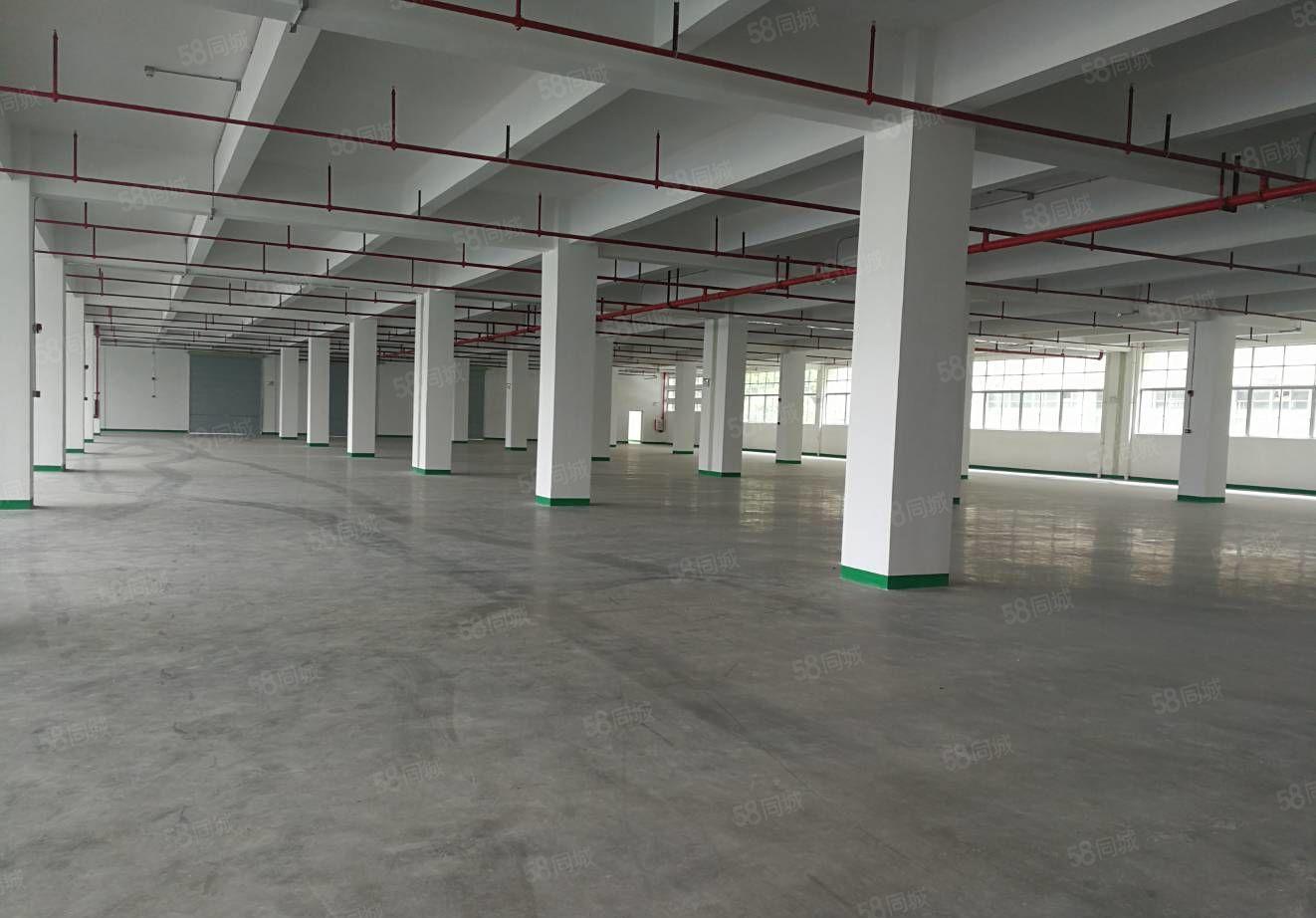 惠阳区镇隆万里工业区独院标准厂房12000平米出租