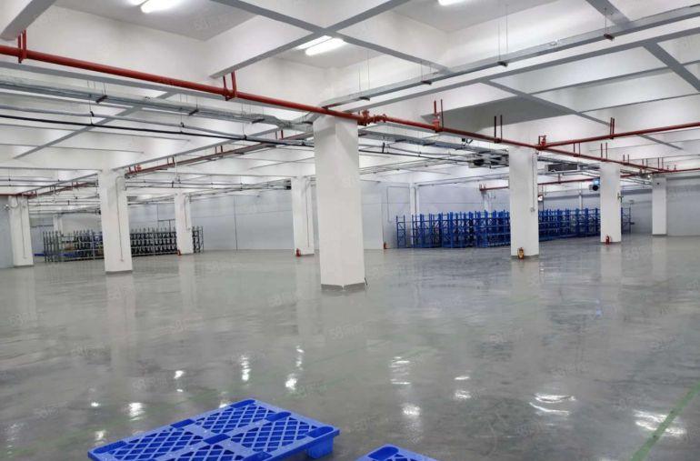 赠！免租期 新墟标准厂房出租 大小面积可分租 三证齐全