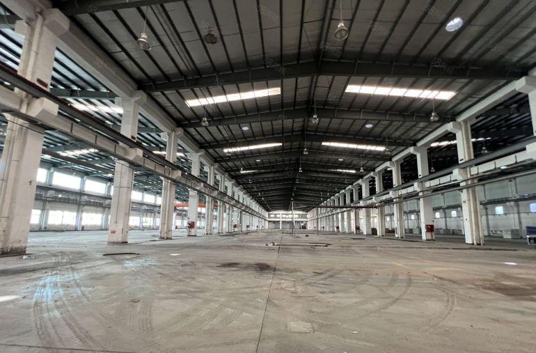 滴水12米带牛角钢构厂房5700平米可以分租原房东直接出租