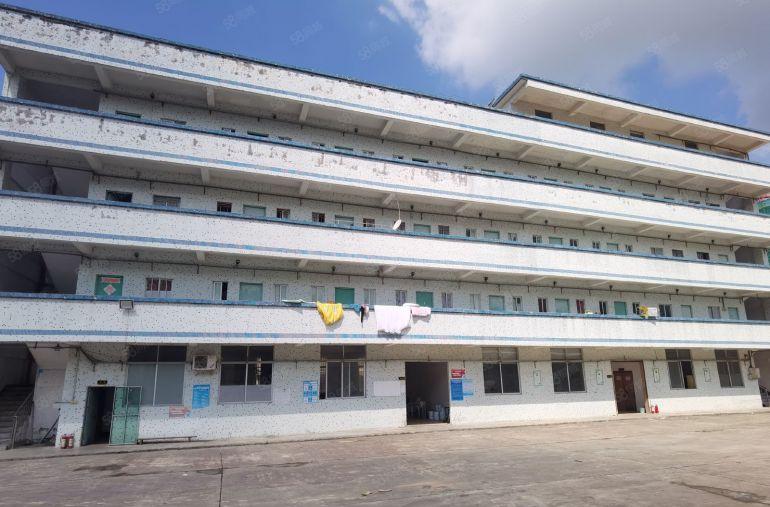 惠阳三和原房东独门独院钢结构滴水八米高13000平方低价出租