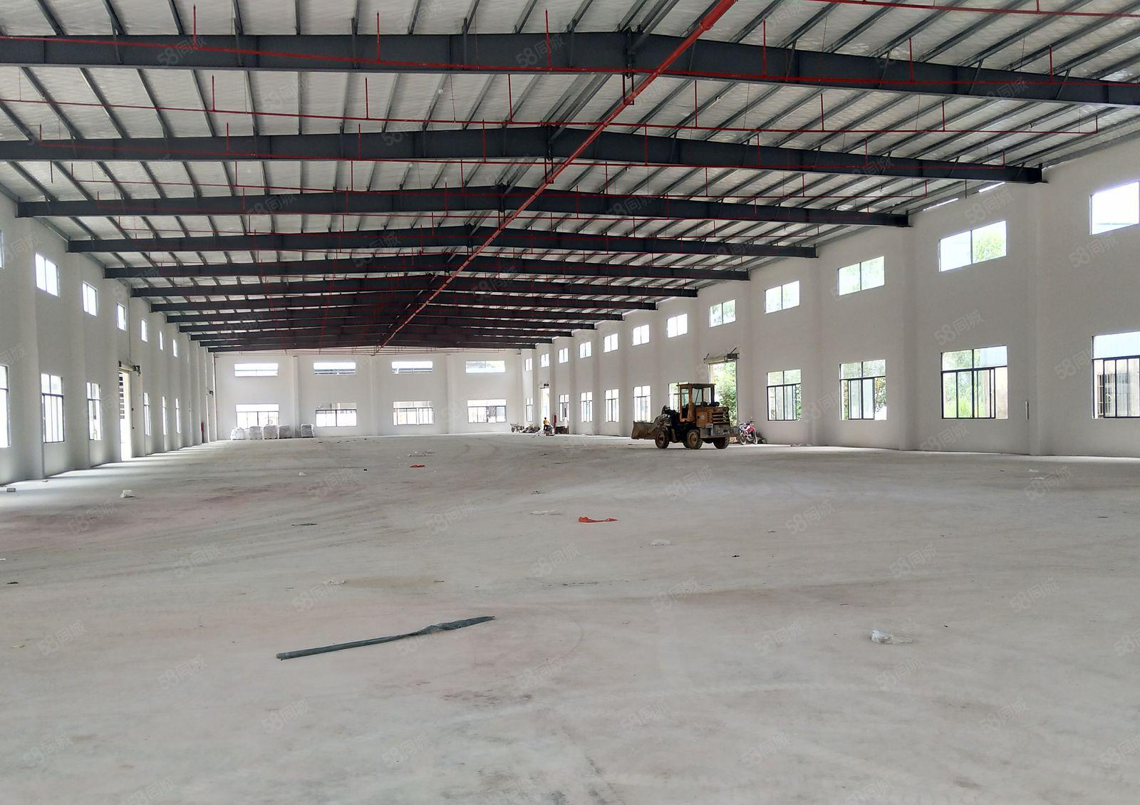 全新单一层钢结构厂房出租，2500平米2栋