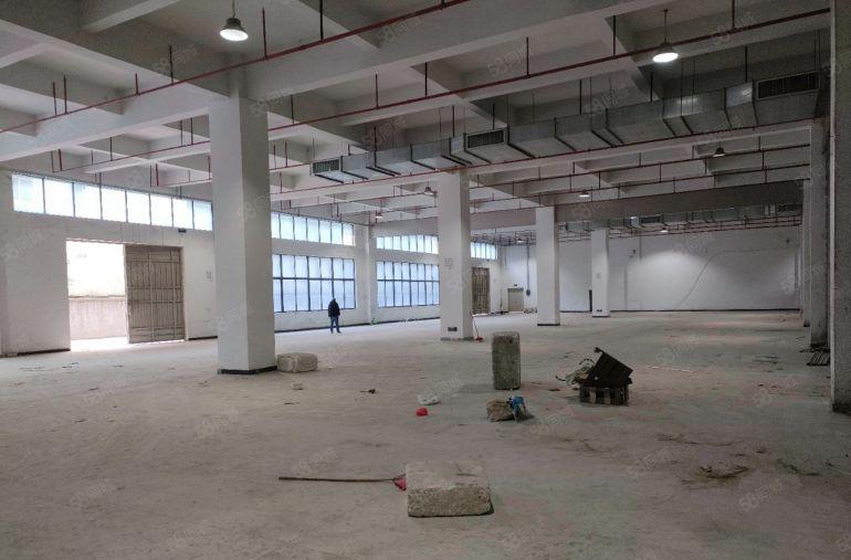 临深2公里惠阳新圩镇新联一楼1650平13块