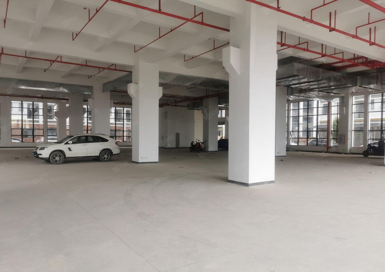 惠阳镇隆8000平方成熟现代化工业园厂房招租大小可分