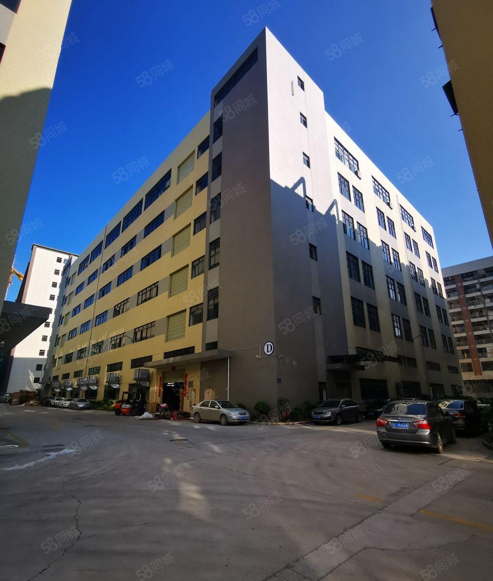 惠阳区成熟工业园产业园不限行业可分租可办环评证件齐全